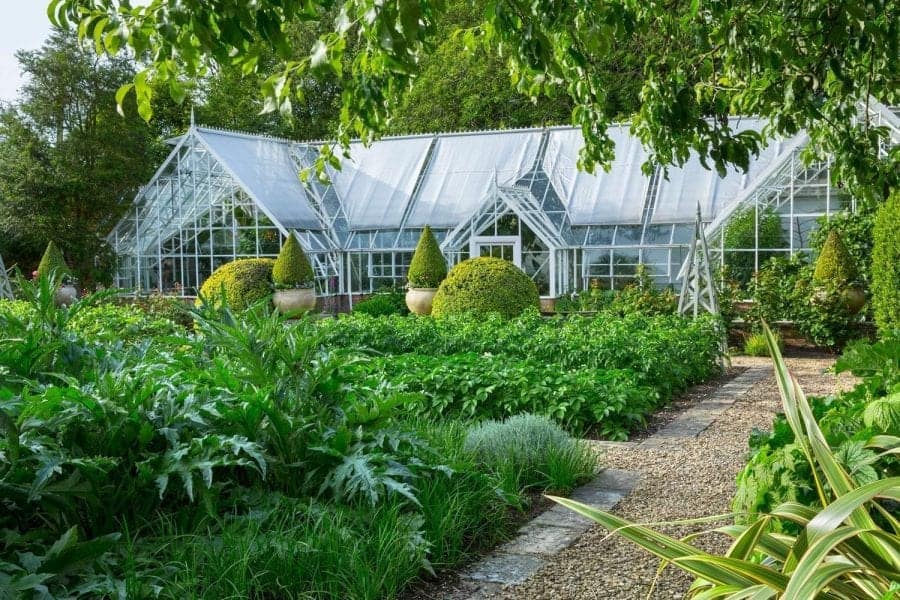 Glasshouse in Farleigh Wallop Garden