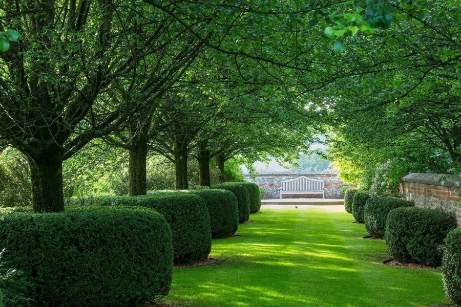 Cylindrically pruned Buxus sempervirens enclosing base of trees, Farleigh House,