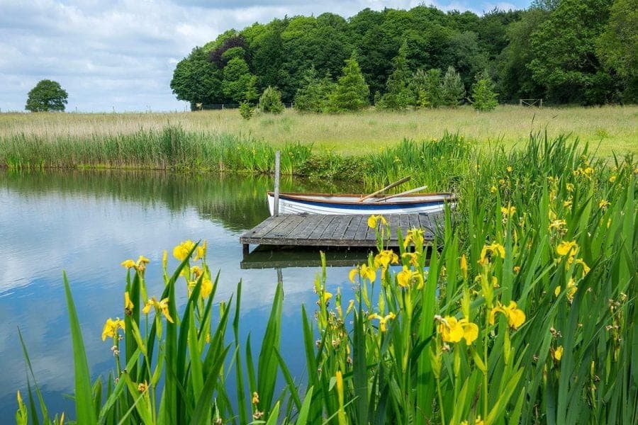 The lake at Farleigh Wallop