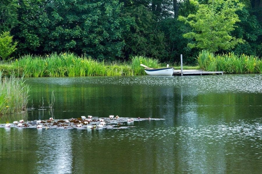 The lake at Farleigh Wallop estate