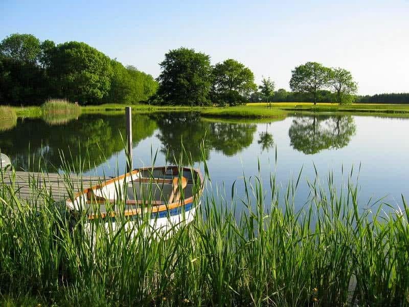 Picturesque lake at Farleigh House