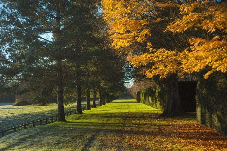 Beautiful countryside surrounding Farleigh House